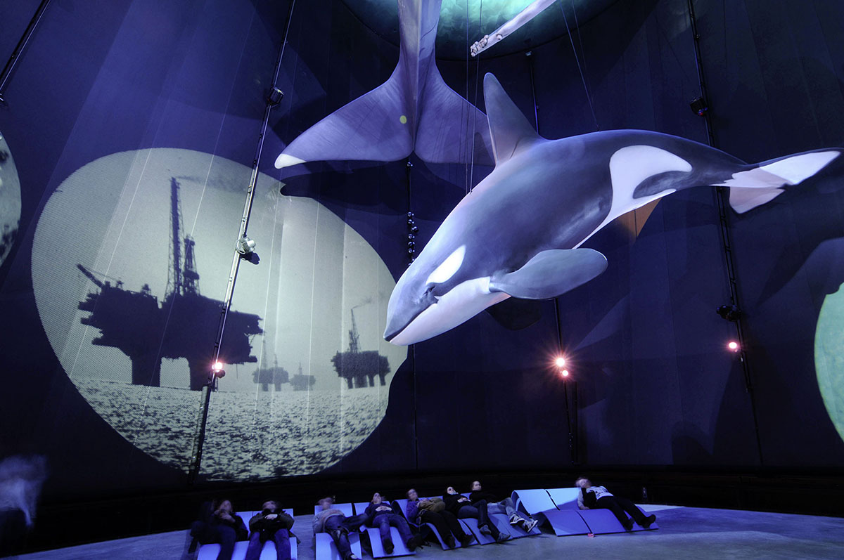 "Giants of the sea", exhibition at Ozeaneum Stralsund © nordlicht "Giants of the sea", exhibition at Ozeaneum Stralsund